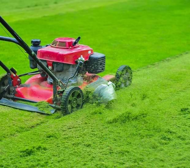 Lawn Mower Cutting