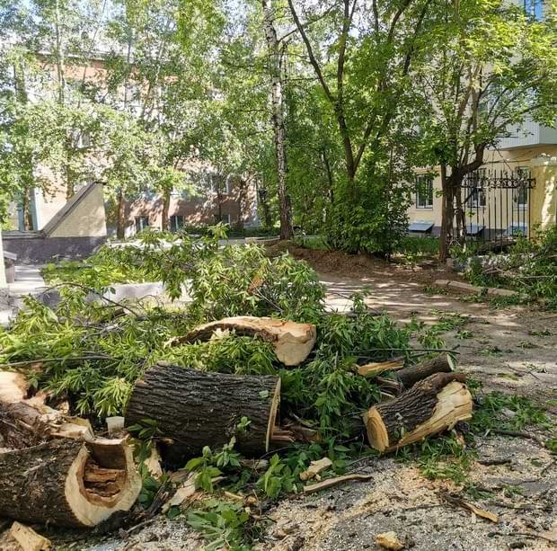 Storm Cleanup in Courtyard